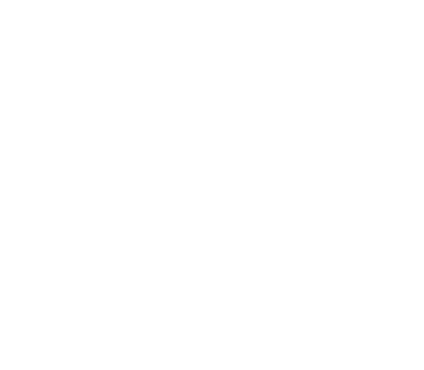 Bukhari Academy